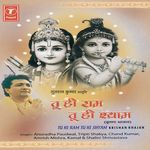 Tu Hi Ram Tu Hi Shyam - Ajay Song Download